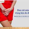 vung-kin-sung-dau-tieu-buot